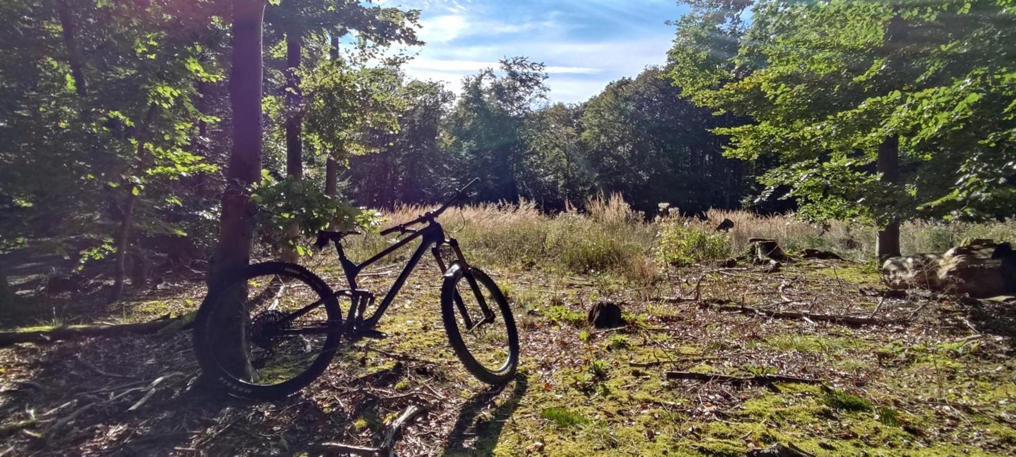 Ferienhaus Moehnetal Allagen Buitenkant foto