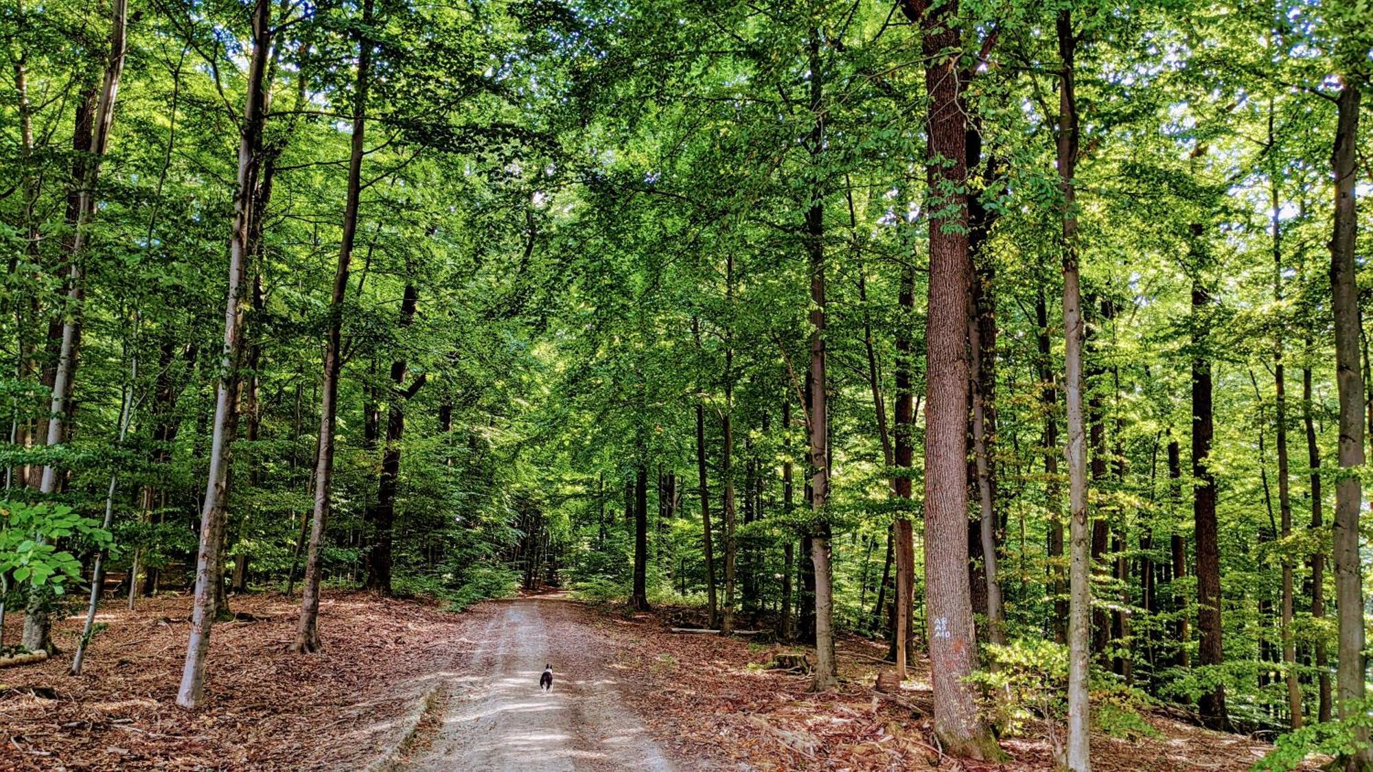 Ferienhaus Moehnetal Allagen Buitenkant foto